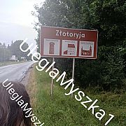UleglaMyszka1 - kobieta, 30 lat, Złotoryja