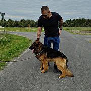 19MichaLL84 - mężczyzna, 41 lat, Jarosław