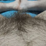 BiPasan
