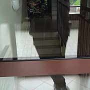 300Gitarzysta - mężczyzna, 22 lat, Kraków