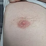 Tosiekzplocka