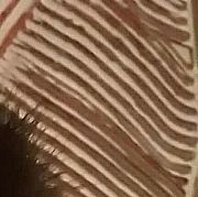 Jakuzmy - мужчина, 23 лет, Mrągowo