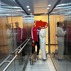 Photo in gallery