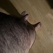 Chetnyy96 - mężczyzna, 30 lat, Łódź