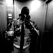 Vibe81