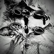 Ja201984
