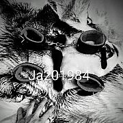 Ja201984
