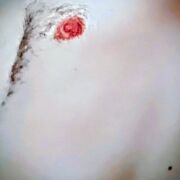 Stiven28 - muž, 39 let, Grudziądz