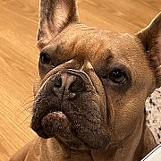 Sztucii - чоловік, 51 років, London