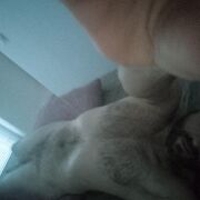 AnalFun - mężczyzna, 35 lat, Wrocław