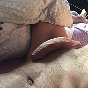 SamiecDom - muž, 49 let, Rzeszów