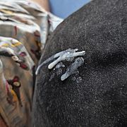 Misiekmisiek88 - mężczyzna, 37 lat, Puławy