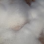 Fanytol
