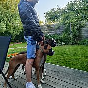 Adonispenis42 - mann, 42 Jahre, Koszalin