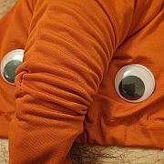 Toja102 - mężczyzna, 34 lat, Bydgoszcz