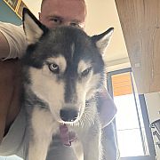 0XSharp - muž, 30 let, Warszawa