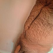Pawel134ty