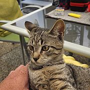 Sexmartin - mężczyzna, 35 lat, Linz