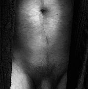 Alexdommale - mężczyzna, 40 lat, Konstancin-Jeziorna