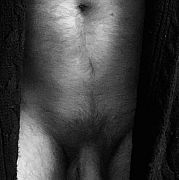 Alexdommale - mężczyzna, 40 lat, Konstancin-Jeziorna