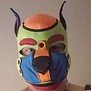 MopsiRexPupFF - мужчина, 38 лет, Wrocław