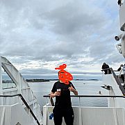 Bamb1n0 - man, 30 years, Konin