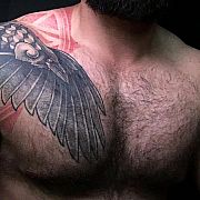 Musclebullbutt - muž, 38 let, Warszawa