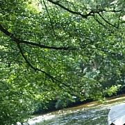 Kris8212 - мужчина, 40 лет, Oleśnica