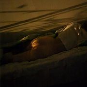 Julkaa06 - женщина, 19 лет, Mogilno