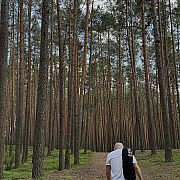Desxd - mężczyzna, 25 lat, Stalowa Wola