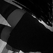 Kicia1120 - женщина, 25 лет, Rumia