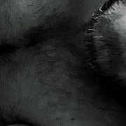 Likeitfuckit - мужчина, 30 лет, Warszawa