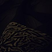 Kasiats - transsexuálů, 24 let, Lublin