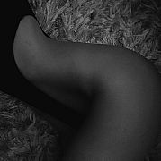 HiddenKitten - kobieta, 20 lat, Warszawa