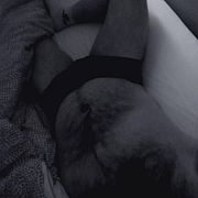 Lewlca08