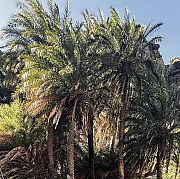 Eatmee - mężczyzna, 25 lat, Warszawa