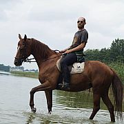 Rudobrody1986