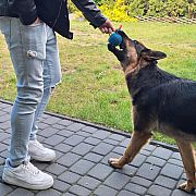 Mlody12413 - мужчина, 26 лет, Chodzież