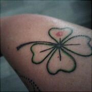 Misia1974 - kobieta, 51 lat, Szczecin