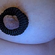 Paula51 - kobieta, 51 lat, Kerpen