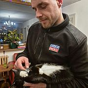 Samczyk031 - mężczyzna, 31 lat, Poznań