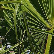 Amore1 - чоловік, 23 років, Poznań