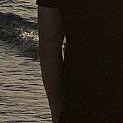 Podence321 - mężczyzna, 30 lat, Poznań