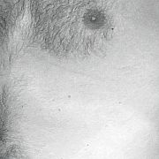 BrodatyKink - mężczyzna, 32 lat, Warszawa