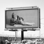 Cuteebunny - транссексуали, 23 років, Poznań