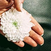 Elastyczna - жінка, 36 років, Lubartów