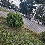 ELA1234 - kobieta, 53 lat, Biłgoraj