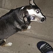 NiesmialyTBG - mężczyzna, 38 lat, Tarnobrzeg