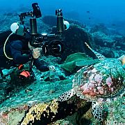 Dresik82Czwa - чоловік, 43 років, Częstochowa