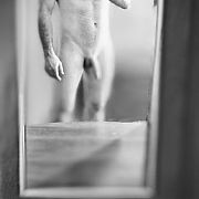 Hevydreams69 - пара (чоловік 29 років, жінка 27 років), Kraków